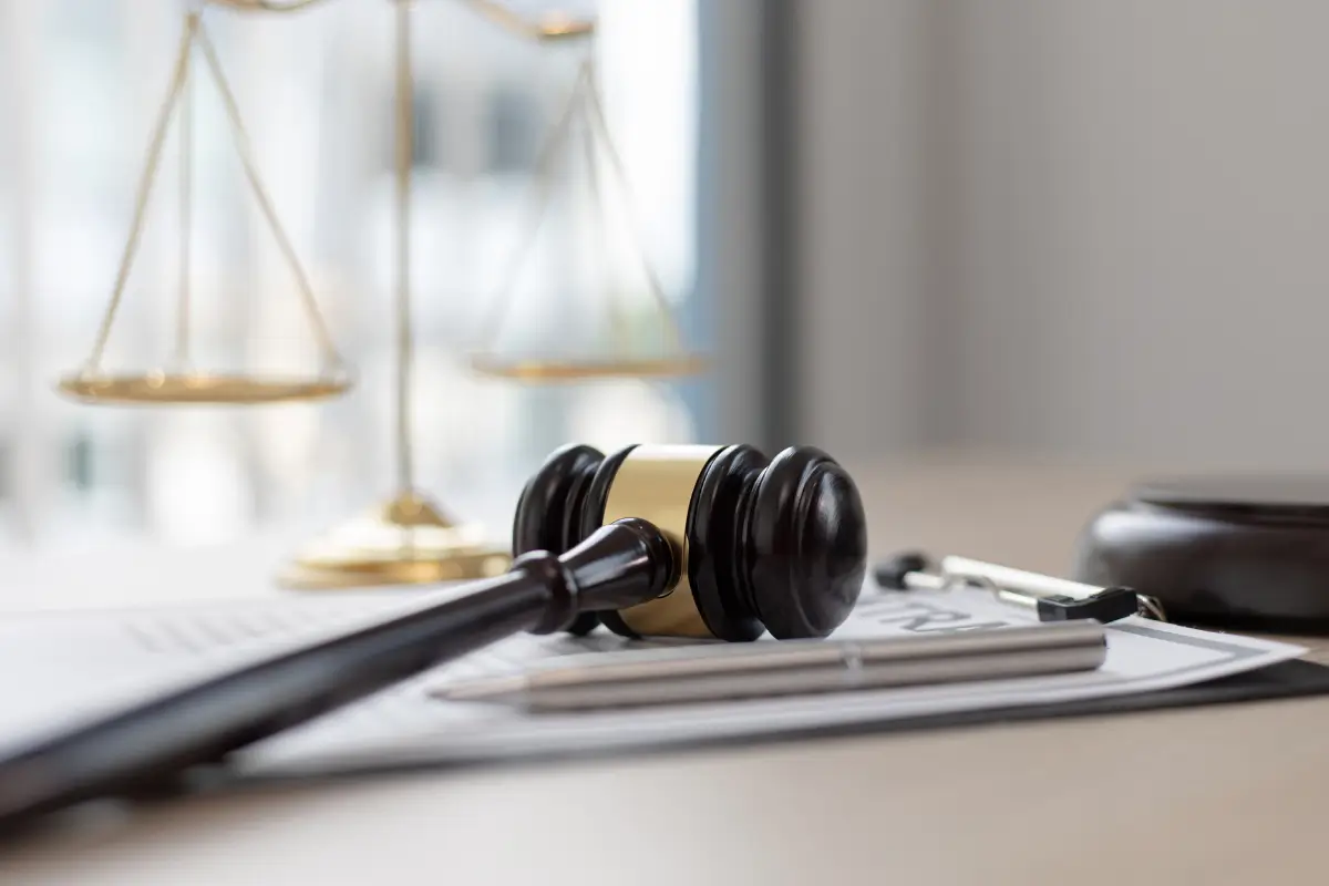 legal services authority act